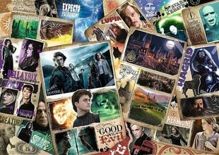 Dėlionė su Harry Potter Trefl, 2000 d. kaina ir informacija | Dėlionės (puzzle) | pigu.lt