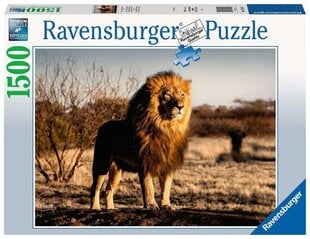 Dėlionė su liūtu Ravensburger, 1500 d. kaina ir informacija | Dėlionės (puzzle) | pigu.lt