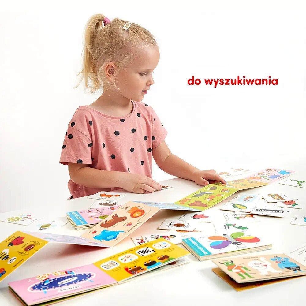Inglise keele õppekomplekt lastele 4, 5, 6+ kaina ir informacija | Knygos vaikams | pigu.lt