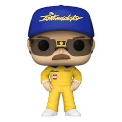 Figūrėlė Funko Pop! Nascar Dale Earnhardt, 9 cm kaina ir informacija | Žaislai mergaitėms | pigu.lt