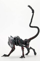 Экшн-фигурка инопланетян «Ночная пума» «Чужой» (дань уважения Кеннеру) 23 см цена и информация | Атрибутика для игроков | pigu.lt