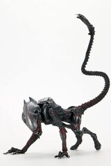 Night Cougar Alien Puma Kenner Tribute kaina ir informacija | Žaidėjų atributika | pigu.lt