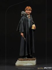 Harry Potter 1/10 Ron Weasley 17 cm kaina ir informacija | Žaidėjų atributika | pigu.lt