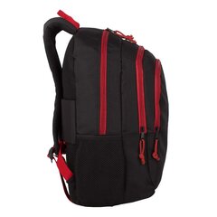 Рюкзак Наруто Клауд 42 см цена и информация | Школьные рюкзаки, спортивные сумки | pigu.lt