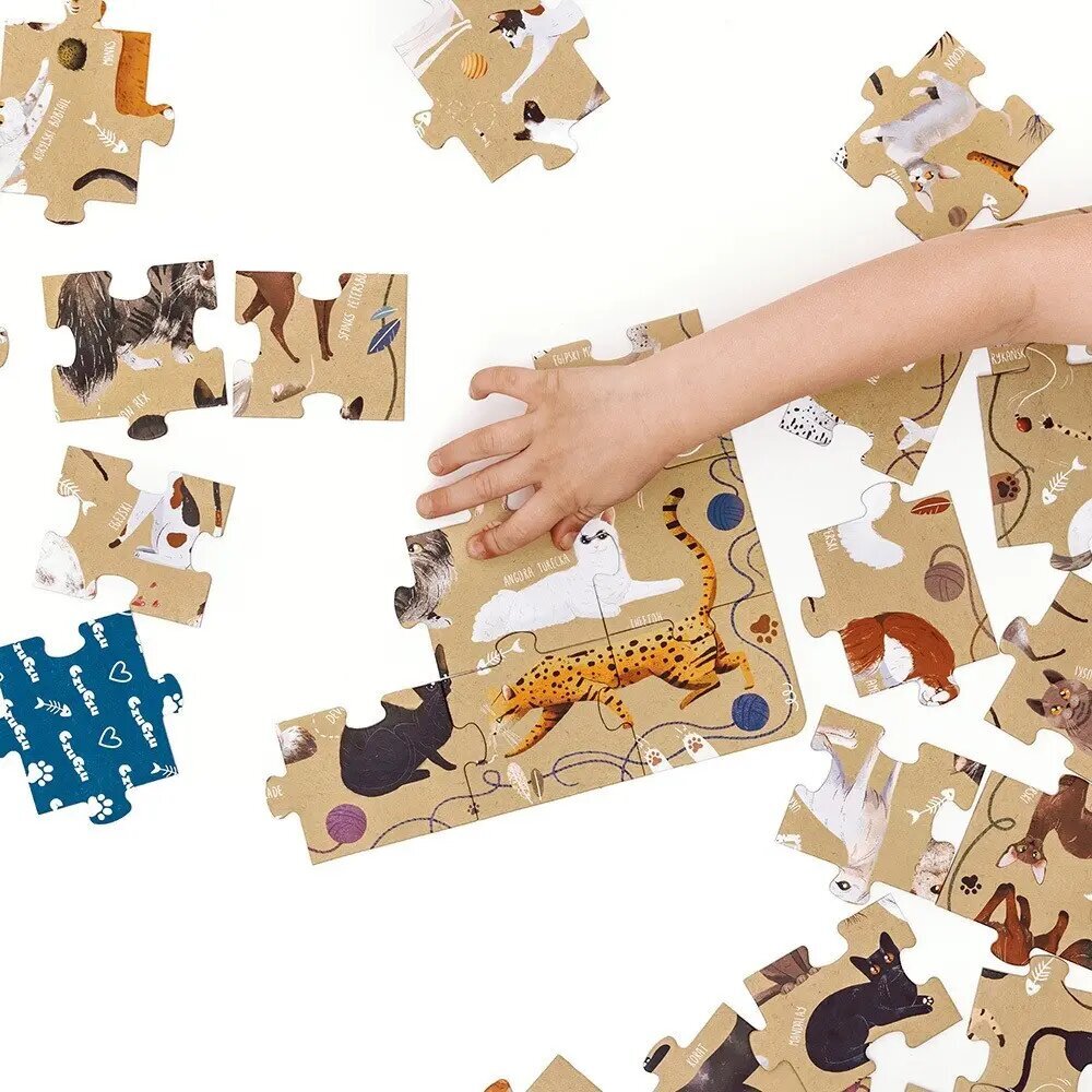 Dėlionė Puzzlove Katės, 60 det. kaina ir informacija | Dėlionės (puzzle) | pigu.lt