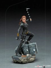 Juodosios našlės BDS 1/10 Natasha Romanoff 21 cm kaina ir informacija | Žaidėjų atributika | pigu.lt