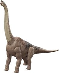 Dinozauro figūrėlė Brachiosaurus Mattel Jurassic World HFK04 цена и информация | Игрушки для мальчиков | pigu.lt