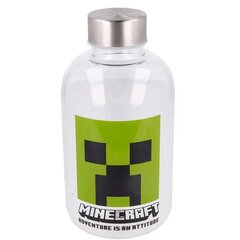 Стеклянная бутылка Minecraft 620 мл цена и информация | Атрибутика для игроков | pigu.lt
