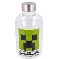 Minecraft, 620 ml kaina ir informacija | Žaidėjų atributika | pigu.lt