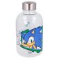 Stiklinis butelis Stor Sonic the Hedgehog, 620 ml kaina ir informacija | Gertuvės | pigu.lt