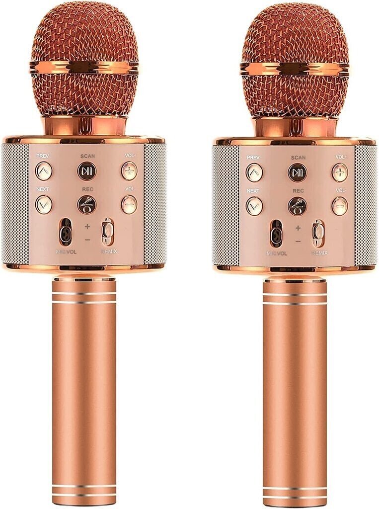 Karaokė mikrofonas-kolonėlė su balso keitimo efektais Perf WS-858 kaina ir informacija | Lavinamieji žaislai | pigu.lt