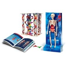 Edukacinis žaidimas Žmogaus kūnas Clementoni, 60249 kaina ir informacija | Lavinamieji žaislai | pigu.lt