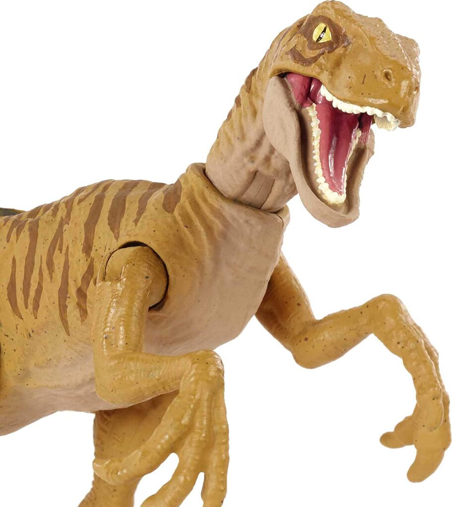 Dinozauro figūrėlė Velociraptor Mattel Jurassic World HBX32 kaina ir informacija | Žaislai berniukams | pigu.lt