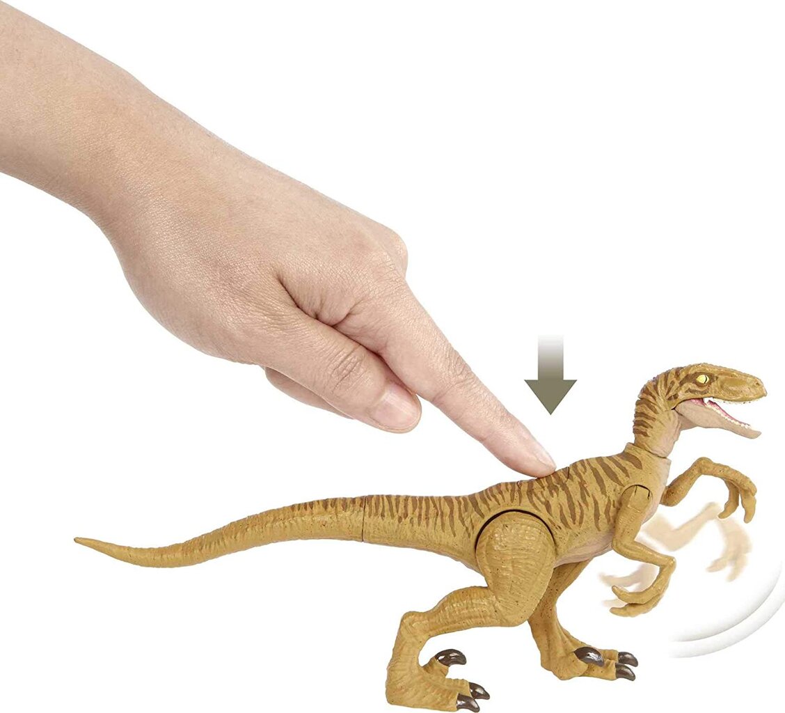 Dinozauro figūrėlė Velociraptor Mattel Jurassic World HBX32 kaina ir informacija | Žaislai berniukams | pigu.lt