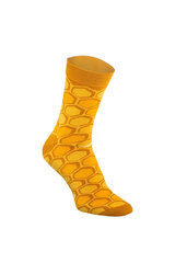 Kojinės moterims 23576-249, geltonos, mėlynos, 2 poros kaina ir informacija | Moteriškos kojinės | pigu.lt