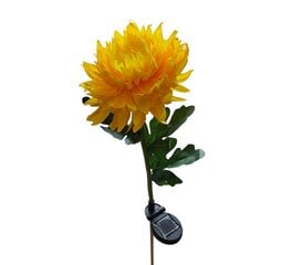 Светящаяся хризантема с солнечным элементом цена и информация | Садовый палисадник Cellfast 4 Standard 2,3 м графит | pigu.lt
