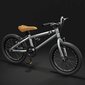 BMX dviratis Aoli 20", pilkas цена и информация | Dviračiai | pigu.lt