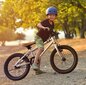 BMX dviratis Aoli 20", pilkas цена и информация | Dviračiai | pigu.lt