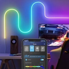 Govee H61A2 Neon Rope RGBIC LED Smart Strip IP67 / Bluetooth / Wi-Fi / 3m цена и информация | Светодиодные ленты | pigu.lt