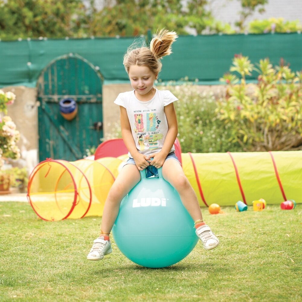 Šokinėjimo kamuolys Ludi, mėlynas kaina ir informacija | Žaislai kūdikiams | pigu.lt