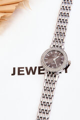 Plieninis moteriškas laikrodis Giorgio&Dario Silver kaina ir informacija | Moteriški laikrodžiai | pigu.lt