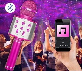 žaislinis karaoke mikrofonas su garsiakalbiu Dexter, rožinis цена и информация | Развивающие игрушки | pigu.lt