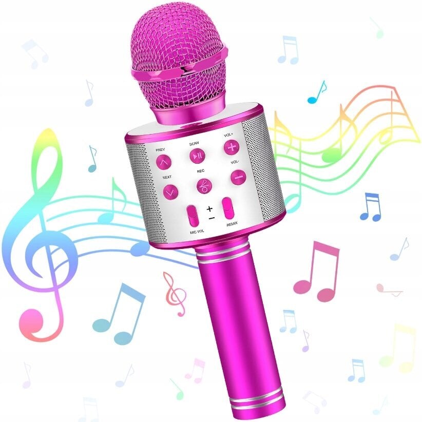 žaislinis karaoke mikrofonas su garsiakalbiu Dexter, rožinis kaina ir informacija | Lavinamieji žaislai | pigu.lt