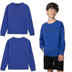 Džemperis berniukams 4F, mėlynas kaina ir informacija | Megztiniai, bluzonai, švarkai berniukams | pigu.lt