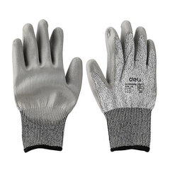 Cut resistant Gloves XL Deli Tools kaina ir informacija | Darbo pirštinės | pigu.lt