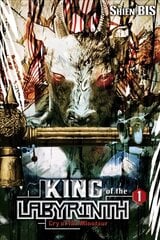 King of the Labyrinth, Vol. 1 (light novel) цена и информация | Фантастика, фэнтези | pigu.lt