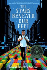 Stars Beneath Our Feet цена и информация | Книги для подростков и молодежи | pigu.lt