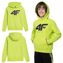 Džemperis berniukams 4F, žalias kaina ir informacija | 4F Drabužiai berniukams | pigu.lt