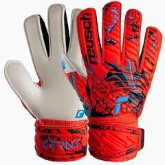 Vartininko pirštinės Reusch Attrakt Solid Finger Support Jr, raudonos kaina ir informacija | Futbolo apranga ir kitos prekės | pigu.lt