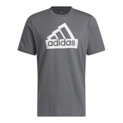 Adidas marškinėliai vyrams City T-Shirt M H49666, pilki цена и информация | Футболка мужская | pigu.lt