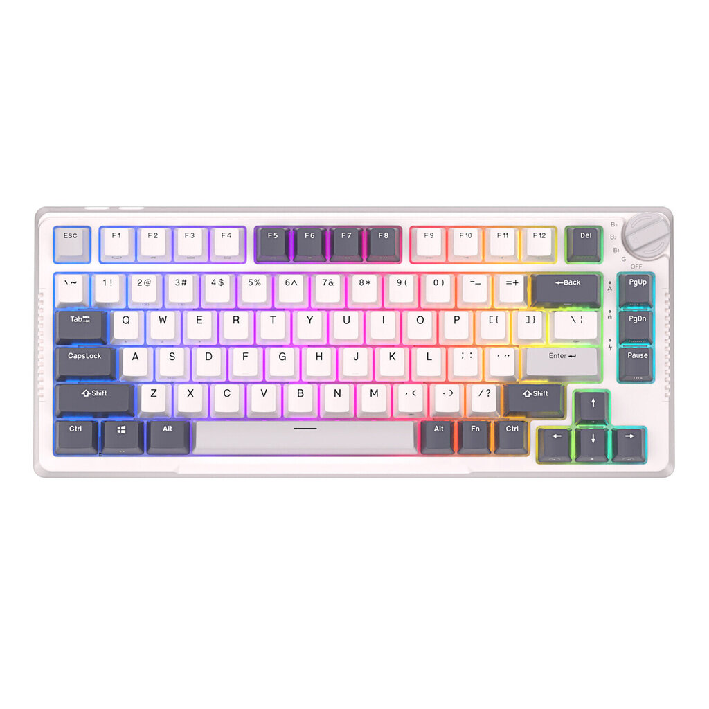 Royal Kludge RK H81, Sky Cyan switches, Белый цена | pigu.lt