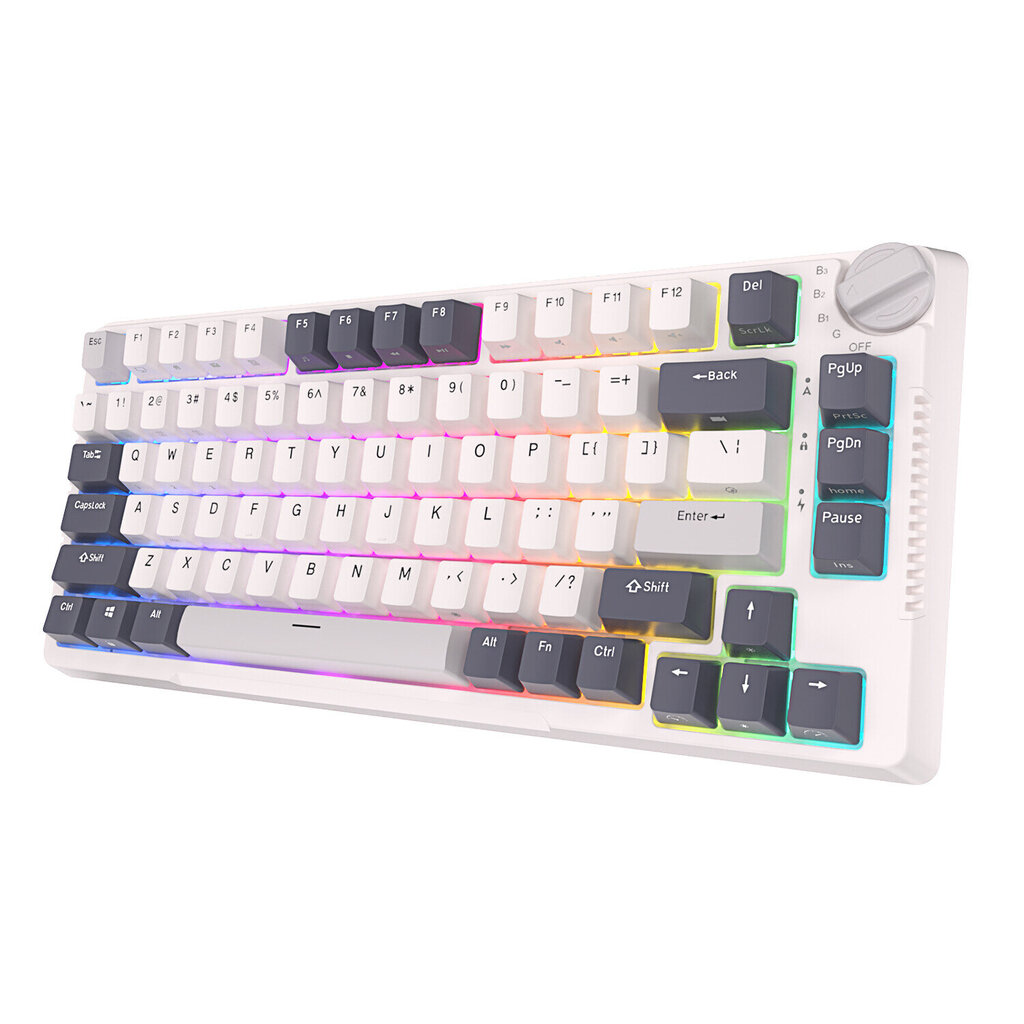 Royal Kludge RK H81, Sky Cyan switches, Белый цена | pigu.lt