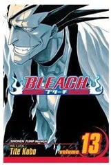 Манга в мягкой обложке Viz Bleach, том 13 цена и информация | Комиксы | pigu.lt