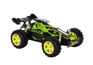 Автомобиль-багги RC Lime 2,4 ГГц цена и информация | Игрушки для мальчиков | pigu.lt