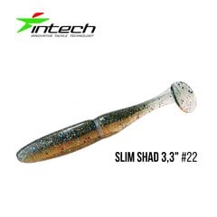 Silikoninis masalas Intech Slim Shad 4″ 5 pcs #22 kaina ir informacija | Vobleriai, masalai, blizgės | pigu.lt