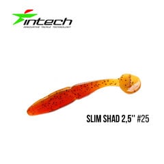 Silikoninis masalas Intech Slim Shad 4″ 5 pcs #25 kaina ir informacija | Vobleriai, masalai, blizgės | pigu.lt