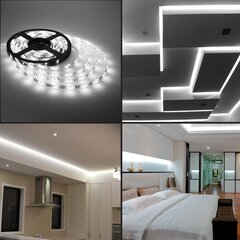 LED juosta 5 m, šaltai balta spalva цена и информация | Светодиодные ленты | pigu.lt