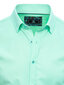Marškiniai vyrams, žali цена и информация | Vyriški marškiniai | pigu.lt
