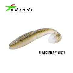 Silikoninis masalas Intech Slim Shad 4″ 5 pcs #IN79 kaina ir informacija | Vobleriai, masalai, blizgės | pigu.lt