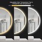 LED veidrodis Madrid, 60 cm цена и информация | Vonios veidrodžiai | pigu.lt