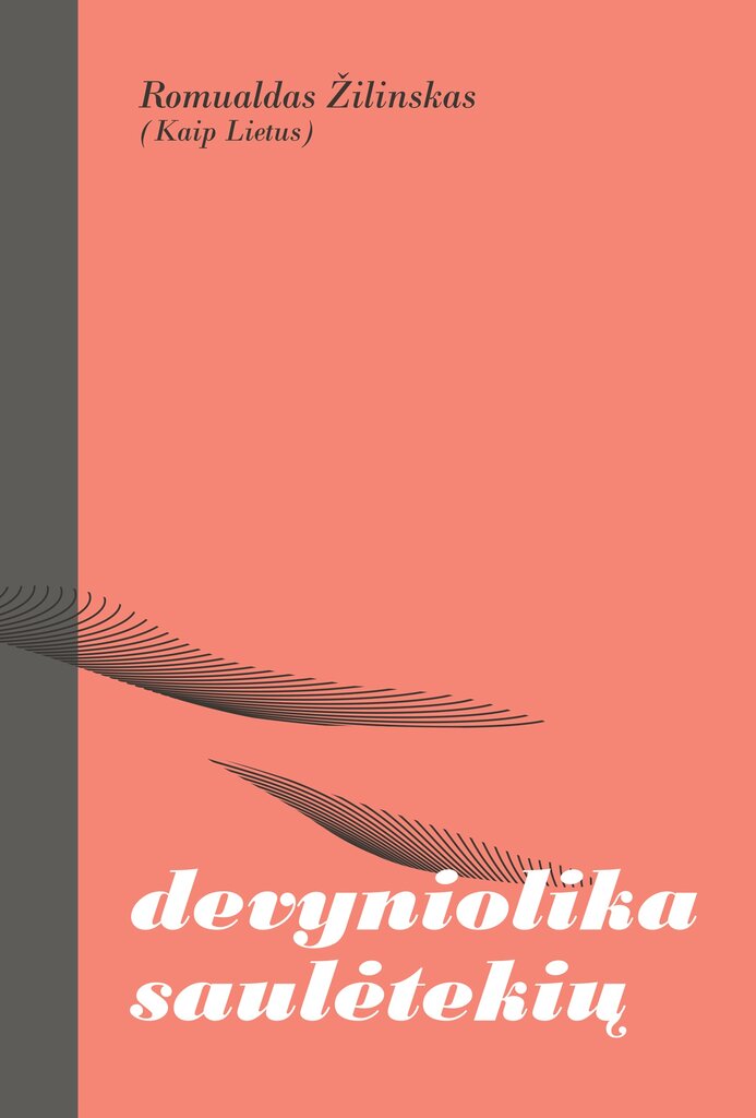 Devyniolika saulėtekių цена и информация | Poezija | pigu.lt