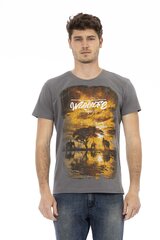 Marškinėliai vyrams Trussardi Action, pilki kaina ir informacija | Vyriški marškinėliai | pigu.lt