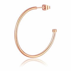 S`Agapõ Одинарные круглые бронзовые серьги Happy Ears SHEA18 sSA1238-27 цена и информация | Серьги | pigu.lt