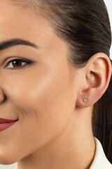 Auksiniai auskarai moterims Brilio EA519 kaina ir informacija | Auskarai | pigu.lt