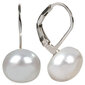 Sidabriniai auskarai moterims JwL Luxury Pearls JL0022 sJL0022 цена и информация | Auskarai | pigu.lt