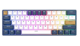 Royal Kludge RK61 Plus TKL Blue Switches kaina ir informacija | Klaviatūros | pigu.lt